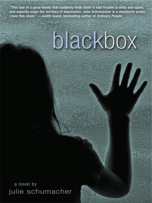 Title details for Black Box by Julie Schumacher - Available